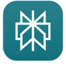 Perplexity logo